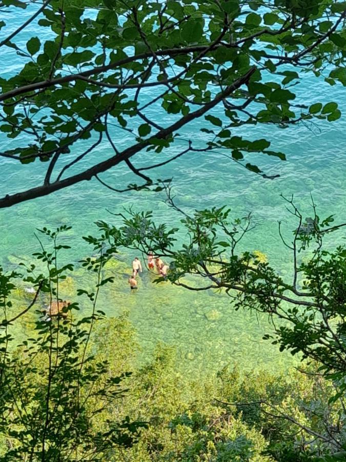 Villa Elisa Lago E Monti Carzago Riviera المظهر الخارجي الصورة